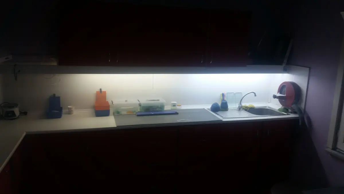 Laboratuvar ve ekip arşivi 011