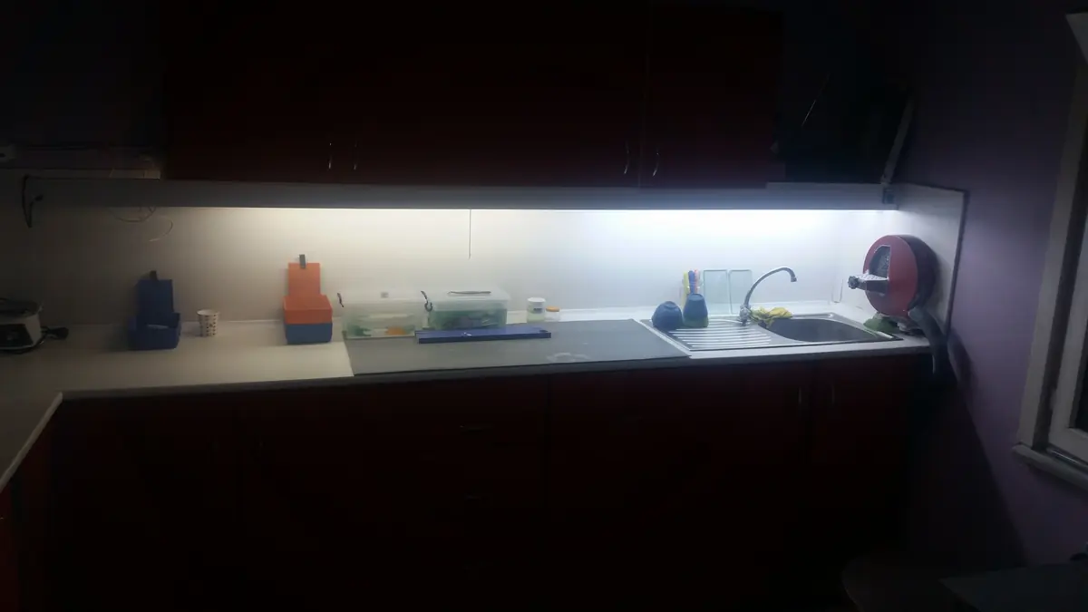Laboratuvar ve ekip arşivi 012