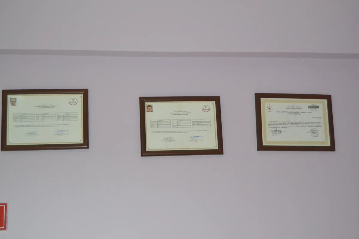 Laboratuvar ve ekip arşivi 125